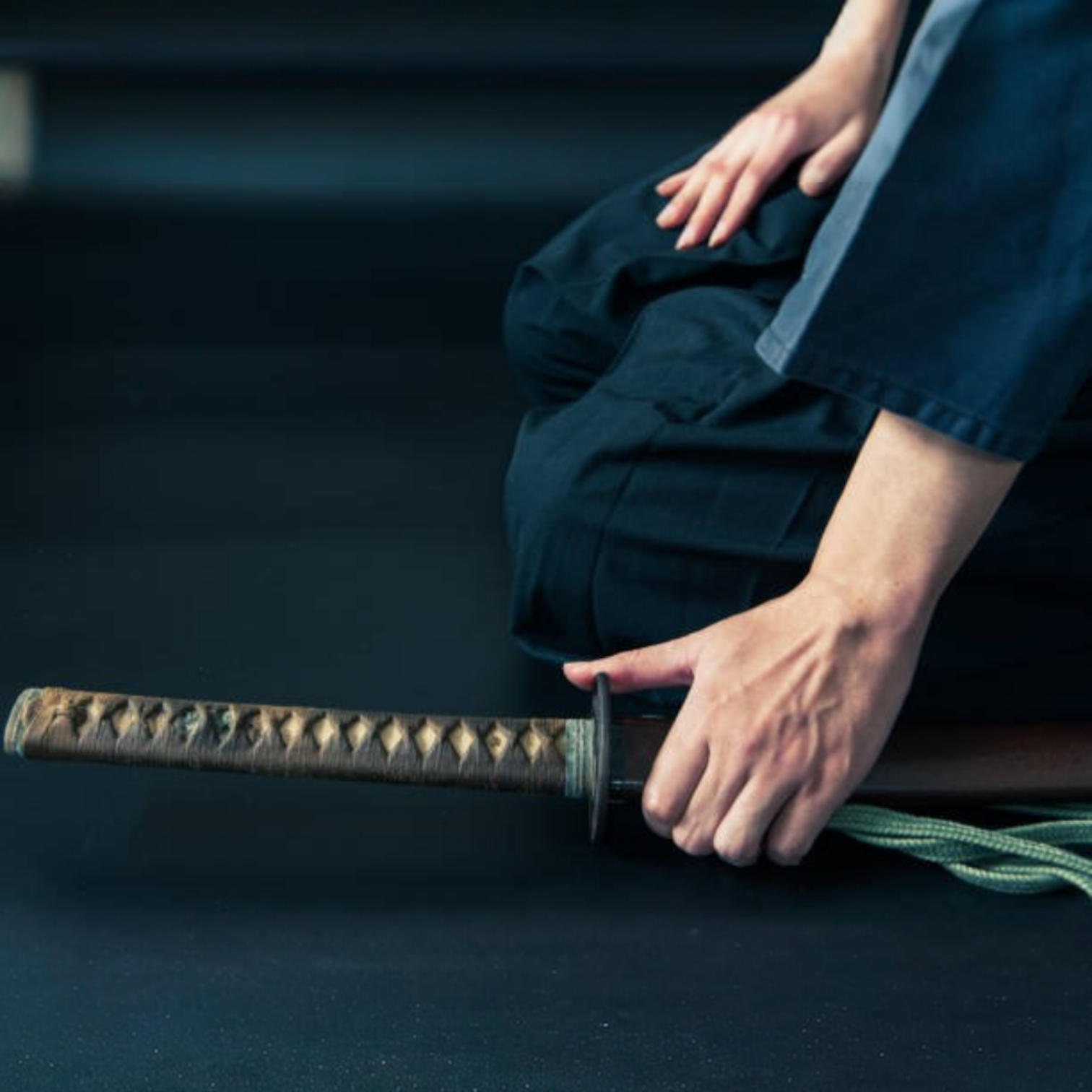 Sword and Mind as One — 剣禅一如 (Ken Zen Ichinyo)