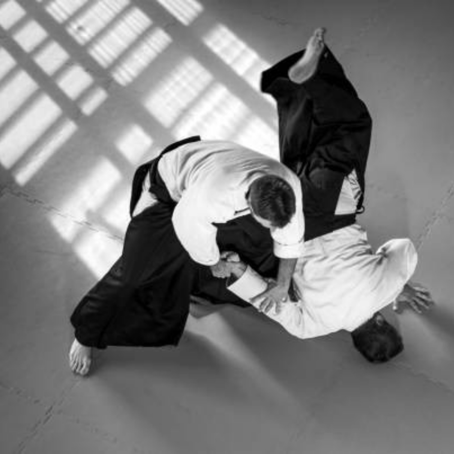 The Spirit of Aikido — 合気道 (Aikido) by Yuka